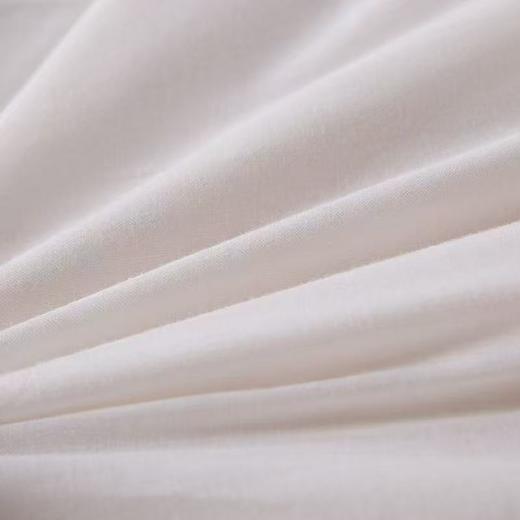 【恐龙厅】B7F丨  恐龙舒雅纤维冬被2000g 商品图4