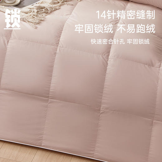 超值限量款白鹅绒被 商品图4