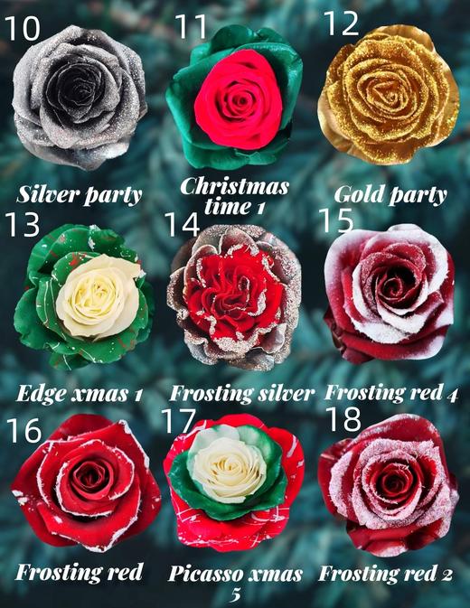 【预定】2025圣诞节厄瓜多尔进口染色玫瑰花10支 商品图2