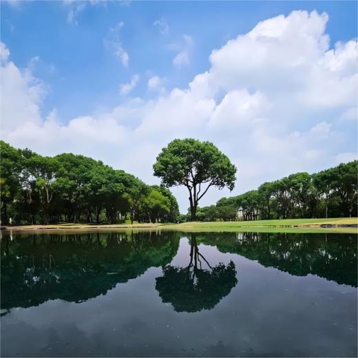 汤臣上海浦东高尔夫球场 Tomson Shanghai Pudong Golf Club | 上海高尔夫球场  |  中国 商品图1