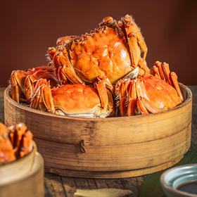 【2025大闸蟹现货 （公母组合）】主打天然海鱼喂养，国家一级水质生态养殖，手工精选高标准