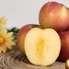 【山西好物】高原脆甜老苹果  4.5斤/8斤 商品缩略图4