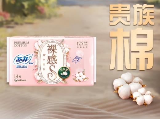 苏菲裸感贵族迷你巾17.5CM  14片 商品图1