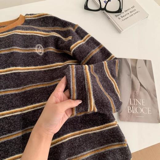 复古条纹刺绣加厚磨毛T恤！2025女松弛感慵懒显瘦保暖秋冬仿兔绒打底衫！ 商品图3