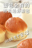【0反式脂肪酸 】黄油酵母面包 鲜牛奶和面牛奶风味/巧克力风味  540克/箱 商品缩略图6