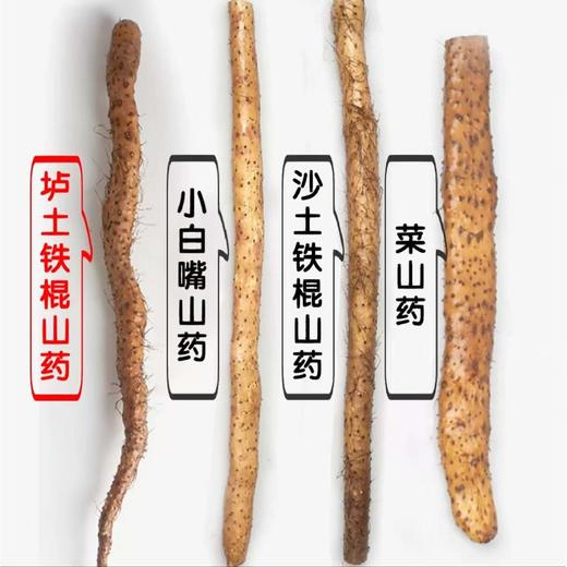 垆土情怀有机铁棍山药粉 古法麸炒 河南焦作垆土地铁棍山药粉 商品图2