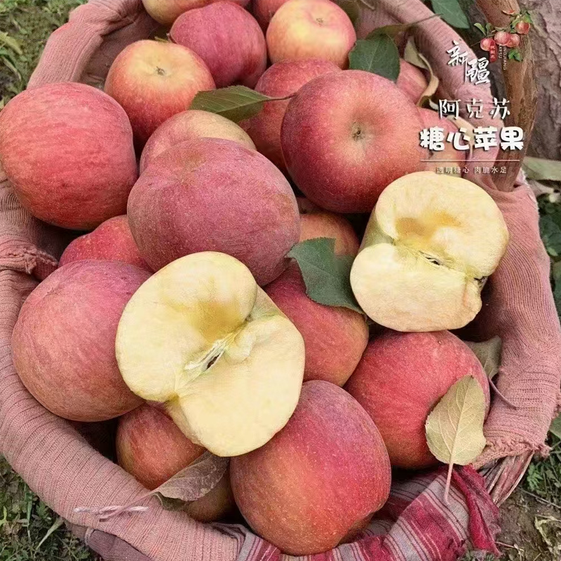 新疆阿克苏苹果 苦等一年，惊艳回归，霜降后的苹果甜度更高 香甜多汁、肉嫩脆爽