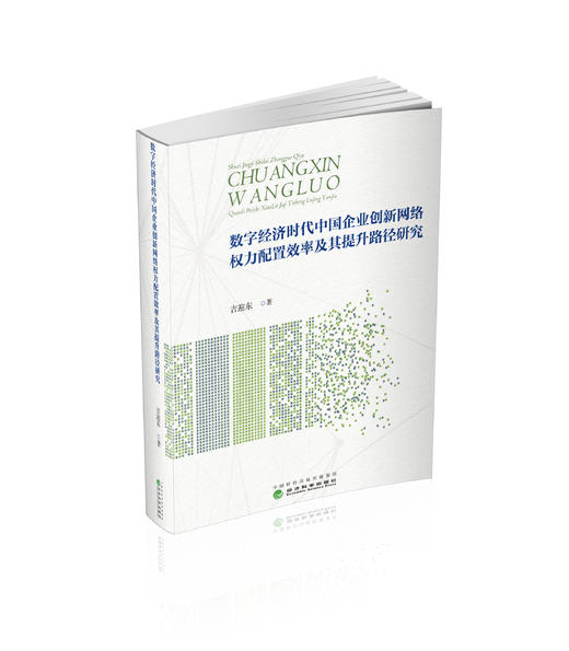 数字经济时代中国企业创新网络权力配置效率及其提升路径研究 商品图0
