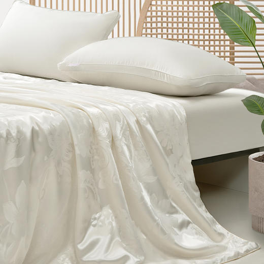 水星家纺 云柔四季A类提花蚕丝被 200*230cm【ZXZQ6.4】 商品图2