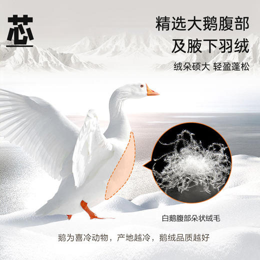 超值限量款70白鹅绒子母被 商品图2