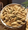 美人甲南瓜子 瓜子大而饱满 无坏籽皮薄易磕 传统盐炒制作 好香脆基地直邮 商品缩略图0