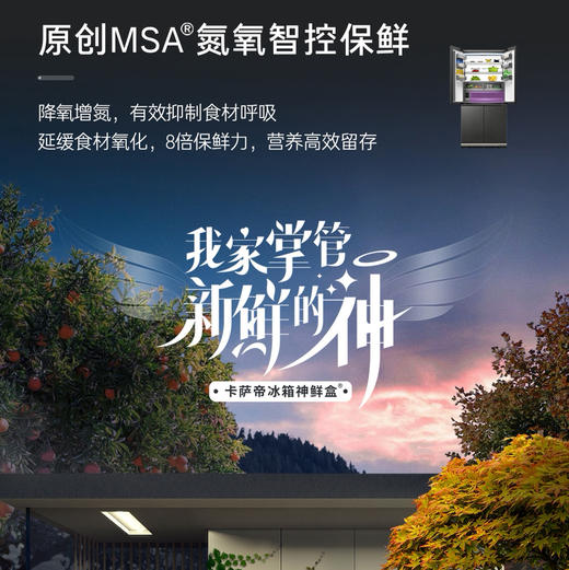 卡萨帝（Casarte）冰箱 BCD-603WGCTDAGGTU1 商品图4