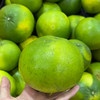 新鲜水果 青皮葡萄柚1.98元/斤  3斤起售（称重退差，多退少补） 商品缩略图1