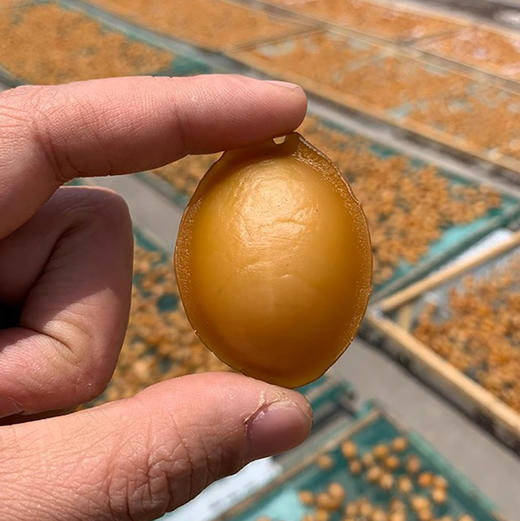 特大鲍鱼干50克6个海鲜干货1斤500g约60头莆田南日鲍 商品图3