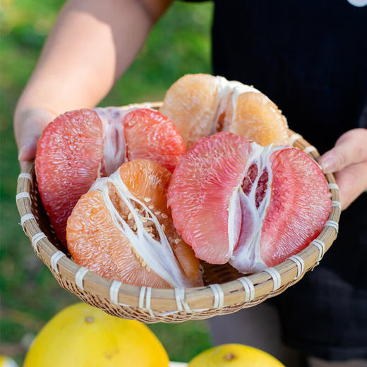 【分仓直发包邮】福建琯溪平和四色香柚8-8.5斤手提箱（三红柚+红心柚+白玉柚+黄金柚） 商品图2