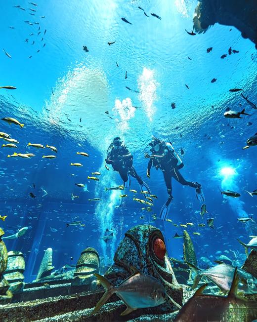 限时早鸟立减600【顶奢万宁5天4晚亲子营】1晚亚特兰蒂斯+2晚石梅湾艾美+1晚丽思卡尔顿！解密海南宝藏耍法，亚特嘉年华、冲浪、赶海、雨林桨板、椰子树跳水、咖啡手工…限100人 商品图7