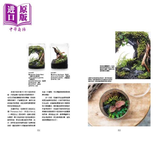 【中商原版】造景绿设计生态缸 蕨类 苔藓 观叶植物 打造生活中的微景观生态系	广濑泰治  台湾东贩	港台原版 商品图2