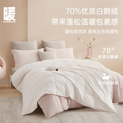 超值限量款70白鹅绒子母被 商品图1