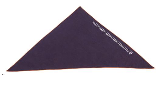 TANGY Collection天意精品文创围巾CL251425 商品图3