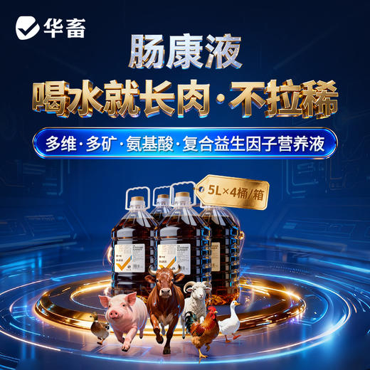 肠康液5L*4瓶 喝水就长肉 不拉稀 商品图0