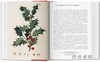 A Garden Eden. Masterpieces of Botanical Illustration. 45th Ed./伊甸园：植物插图杰作（45周年纪念版）/Taschen 45周年系列 商品缩略图1