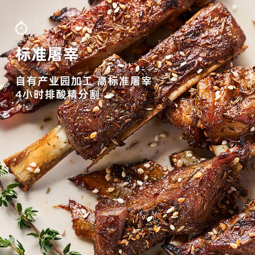 企鹅市集|宁夏盐池滩羊 羊寸排/羊腿块/羊蝎子 肉质鲜嫩味美 商品图3