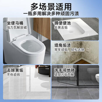 巨奇（JUQI）尿碱溶解剂去尿碱强力去污除垢马桶清洁剂厕所祛黄洁厕灵500g 商品图1