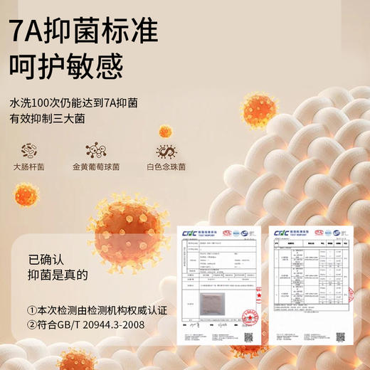 【68.8/2件】杭拍920高腰暖腹保暖裤2条装 928 商品图4