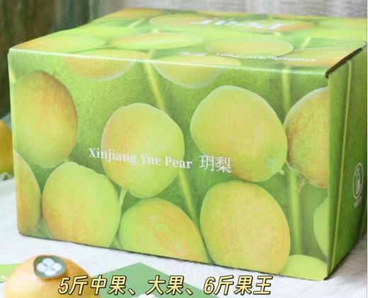 新疆库尔勒香梨  商品图5