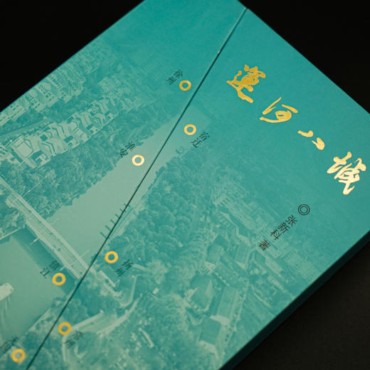 运河八城  张新科 著 商品图2