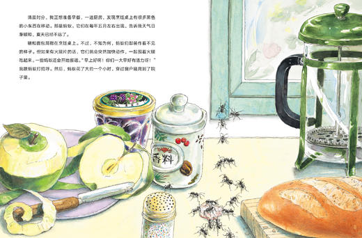 《生命的延伸》精装一册   6-12岁  权威作者+著名绘者    突出了作为生物之一的人类与其他生物以及已灭绝生物之间的亲密联系 商品图1