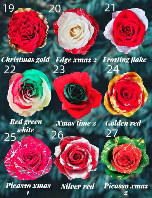 【预定】2025圣诞节厄瓜多尔进口染色玫瑰花10支 商品图3