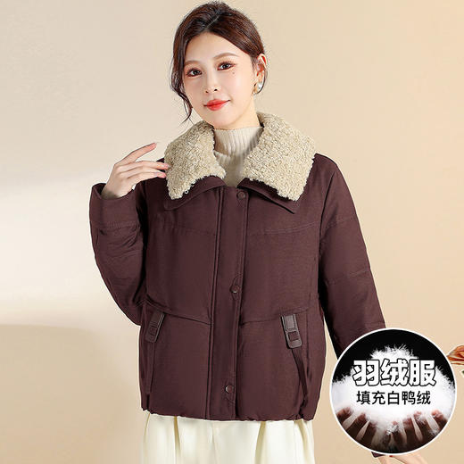 QYM J25B28-Y毛领短款外套保暖羽绒服休闲白鸭绒外套 商品图0