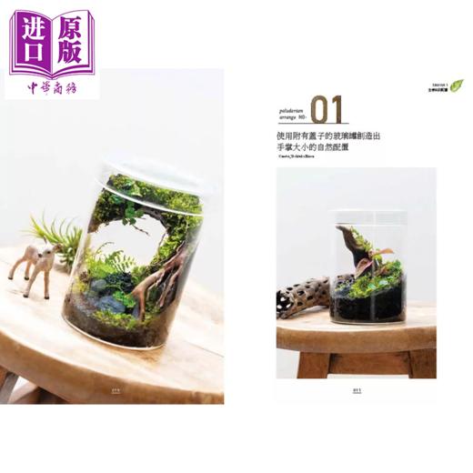 【中商原版】造景绿设计生态缸 蕨类 苔藓 观叶植物 打造生活中的微景观生态系	广濑泰治  台湾东贩	港台原版 商品图1