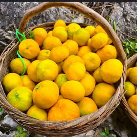 新鲜水果  皮薄无渣丹江口凉水河蜜橘 5斤