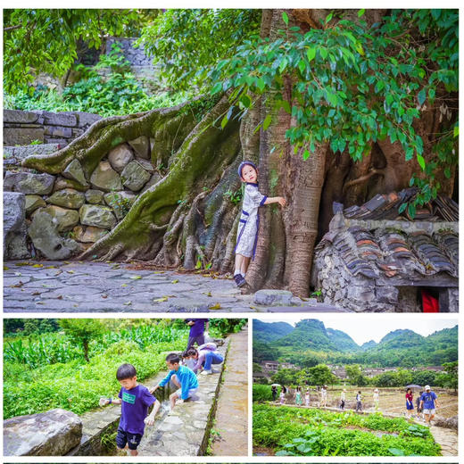 贵州｜亲子遛娃蘑菇屋黔西南6天5晚，梦幻城堡和蘑菇屋/探洞知识/万峰林/布依族村落/黄果树大瀑布，边玩边学！ 商品图7