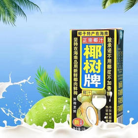 椰树牌 椰汁植物蛋白饮料 1L/盒