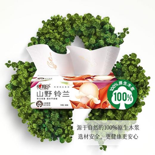 心相印8包向野而生80抽四层塑装面巾纸DTY41080（山野铃兰） 商品图2