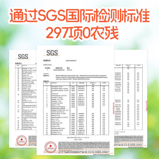 每日乔安蒸苹果干 配料干净 营养健康 商品图4