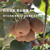 企鹅市集|陕西渭南 翠香/金龙 双拼猕猴桃 果汁般柔软甜蜜 十足芳香甜蜜 商品缩略图4
