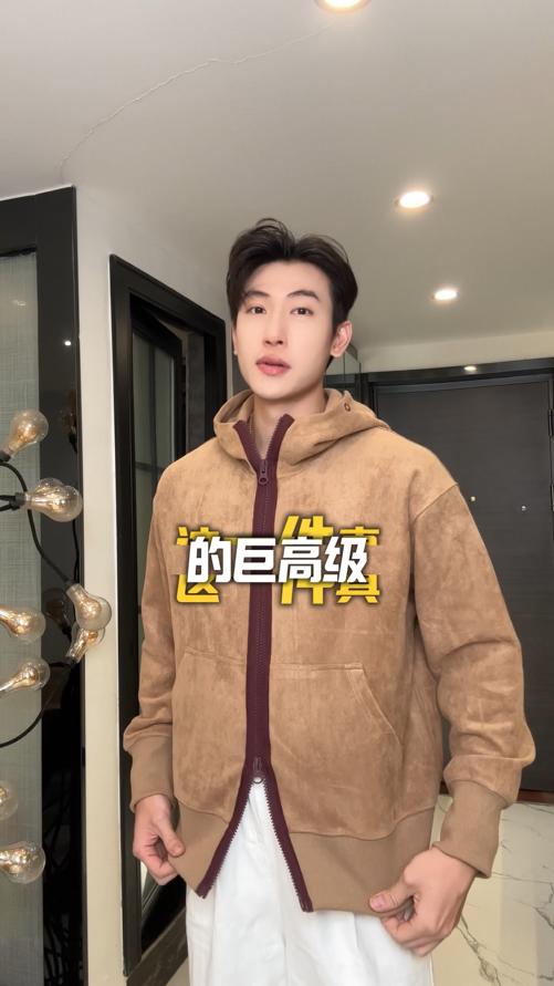 WT237SDSA秋冬新款痞帅男装韩版撞色刺绣标拉链立领连帽卫衣百搭宽松 商品图0