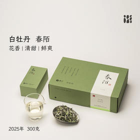 「北路白茶」春陌福鼎白茶白牡丹2025明前茶叶礼盒装送人高端大气