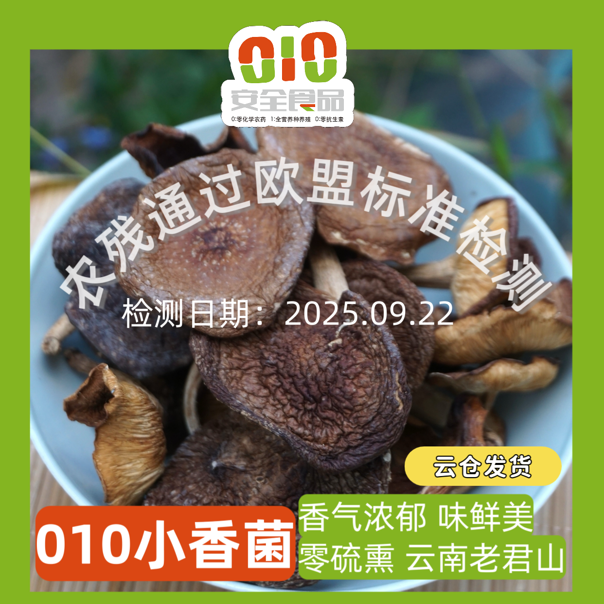 010云南小香菌  丽江老君山 栗木生长香菌 零硫熏 香气浓郁 味鲜美