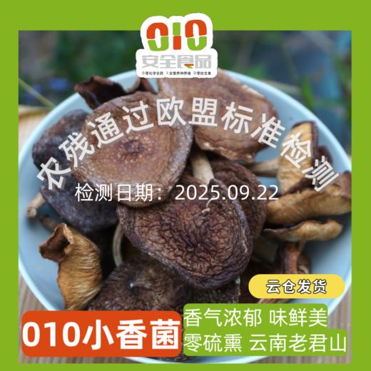 010云南小香菌  丽江老君山 栗木生长香菌 零硫熏 香气浓郁 味鲜美 商品图0