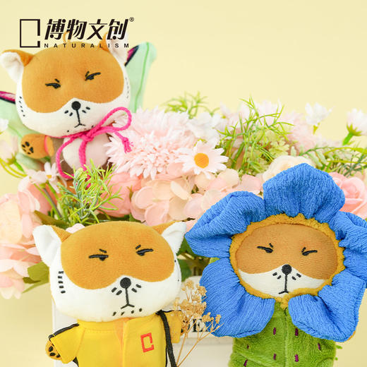 博物文创 狐主任毛绒第二弹 狐闹   藏狐 无穷小亮张辰亮同款 鉴定一下网络热门生物 和狐主任一起看世界 商品图4