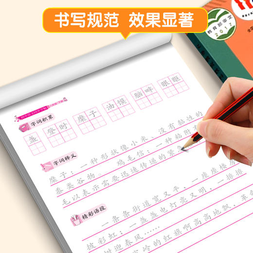 初中语文同步字帖  八年级  下册 商品图1