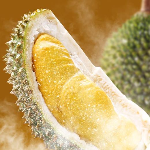 【猫山王冻榴莲】 核心产区 树上熟 老树老果 醇厚香甜 商品图1