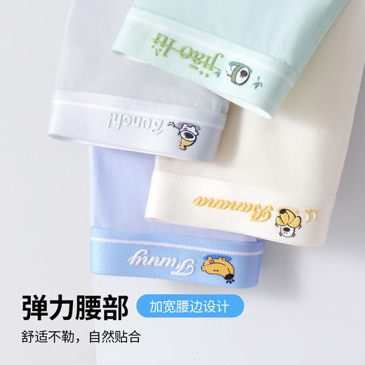 【48.9/四条】杭拍男童内裤4条装 商品图4