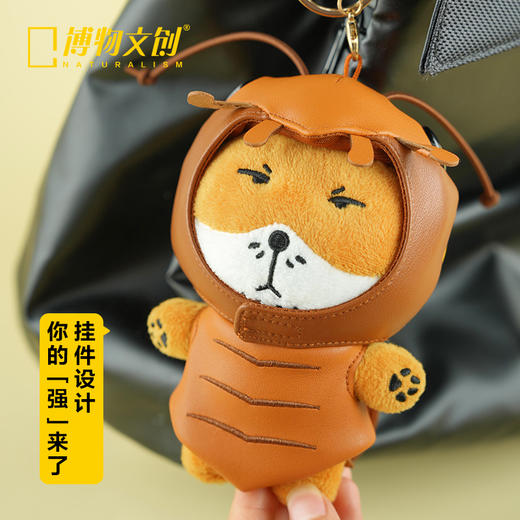 博物文创 狐主任毛绒第二弹 狐闹   藏狐 无穷小亮张辰亮同款 鉴定一下网络热门生物 和狐主任一起看世界 商品图3