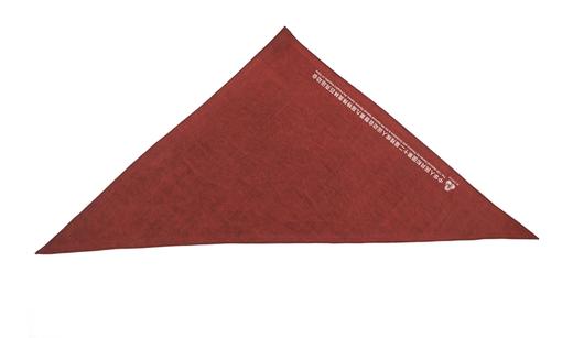 TANGY Collection天意精品文创围巾CL251425 商品图1